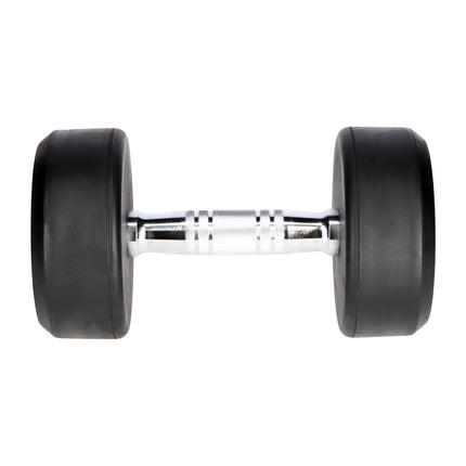 10 kg guminis hantelis - namų sporto įranga