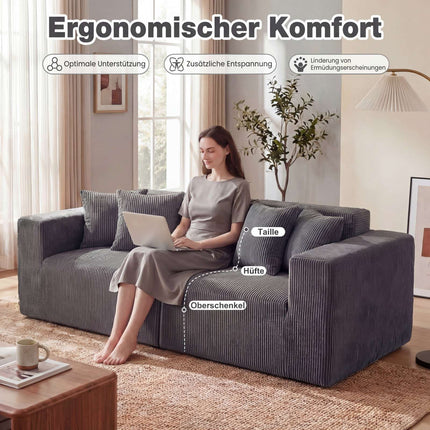 Dvivietė pilka velveto sofa su gilia sėdyne ir pagalvėlėmis