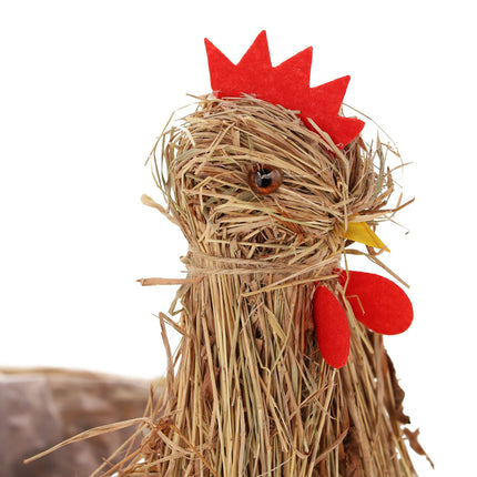 2x Chicken Flower Pot