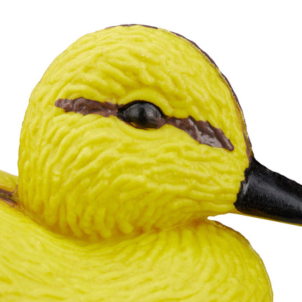 3 vnt. ančių žuvų tvenkiniui