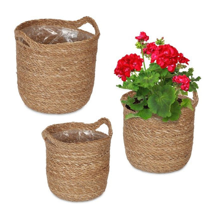 3x jūros dumblių gėlių vazonai su rankena