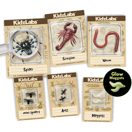 4M „pasidaryk pats“ rinkinys „Creepy Crawly Digging“