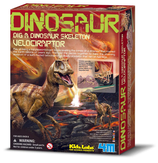 4M Kidzlabs Craft Kit Velociraptor skeletas