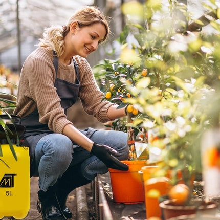 5 l slėginis purkštuvas - purkštukų rinkinys