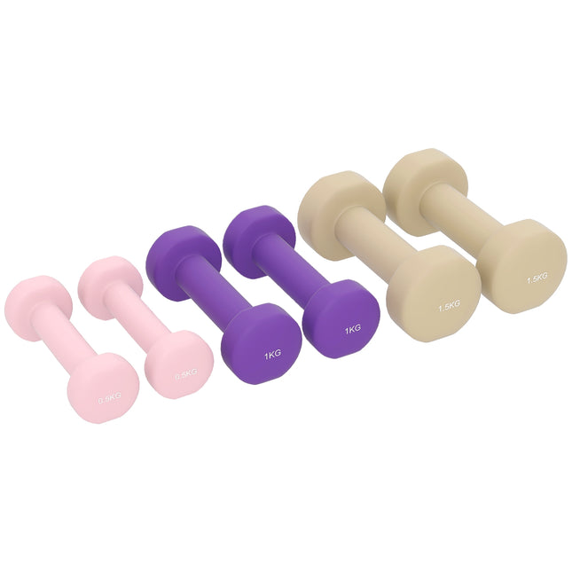 Reguliuojamo svorio hantelių rinkinys su dėklu, 6 poros: nuo 0,5 kg iki 1,5 kg