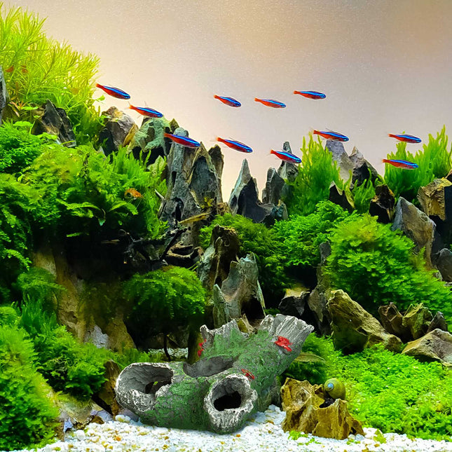 Akvariumo dekoravimo medžio kamienas
