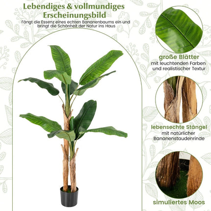 Dirbtinis bananmedis, bananų augalas su 10 lapų ir natūraliu kamienu, žalias, 165 cm