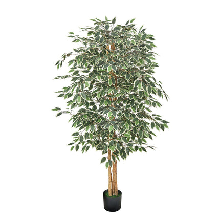 Artificial Ficus Tree 180cm, Black Pot, Indoor Faux Plant