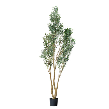 Artificial Olive Tree 240cm With Black Pot, Indoor