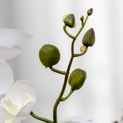 White orchid artificial plant in pot, 75cm - Indoor decor