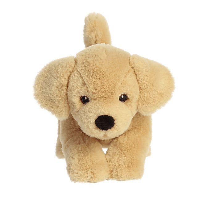 Aurora Eco Nation pliušinis auksinis labradoras, 15 cm