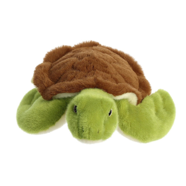 Pliušinis vėžliukas „Aurora Eco Nation“, 27 cm
