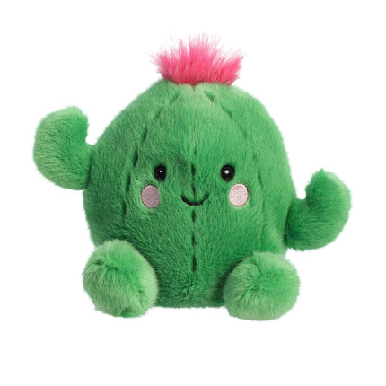 Pliušinis kaktusas „Aurora Palm Pals“, 12 cm
