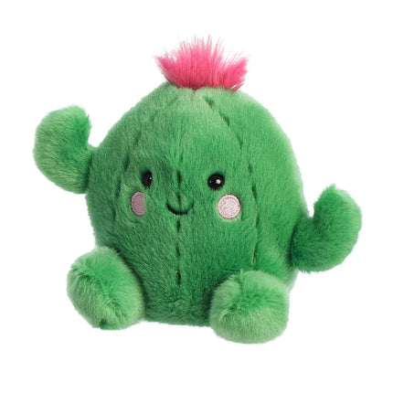 Pliušinis kaktusas „Aurora Palm Pals“, 12 cm