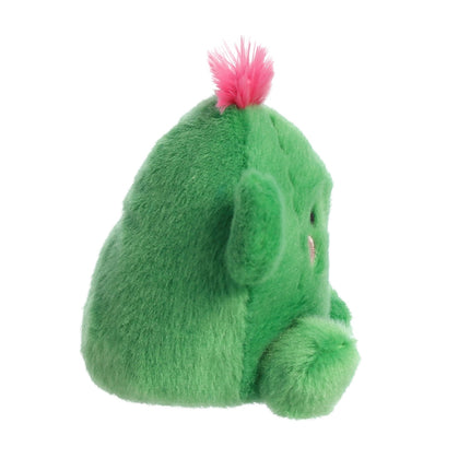 Pliušinis kaktusas „Aurora Palm Pals“, 12 cm