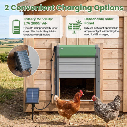 Automatinės vištidės durys su nuotoliniu valdymu ir saulės energija