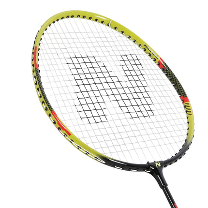 Badmintono rinkinys - 2 raketės, 3 plunksninukai, uždangalas