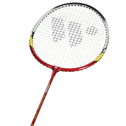 Badmintono rinkinys - 2 raketės, plunksninukai įskaičiuoti