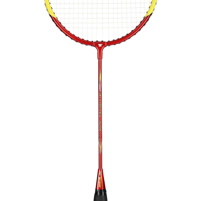 Badmintono rinkinys - 2 raketės, plunksninukai įskaičiuoti