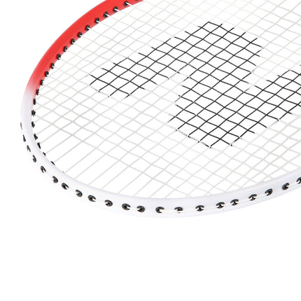 Badmintono komplektas su aliuminio raketėmis ir dangčiu