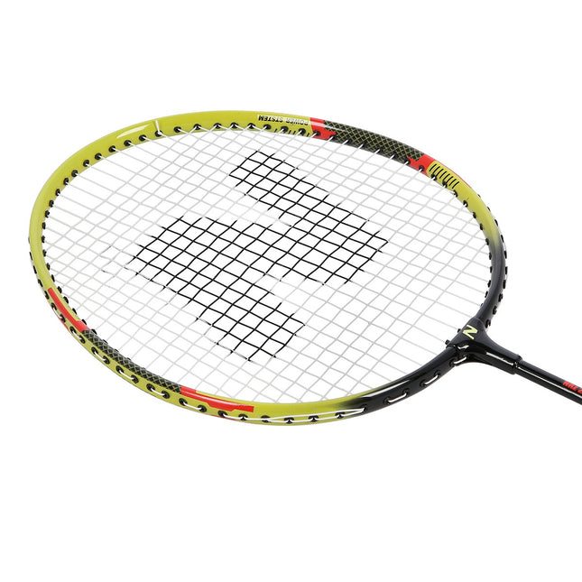 Badmintono komplektas su uždanga, aliuminio konstrukcija
