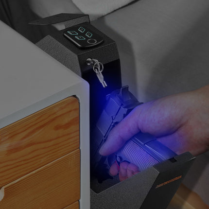 Biometric Pistol Safe, Mountable, 3 Access, 1 Gun