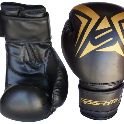 Boxing Gloves 10oz
