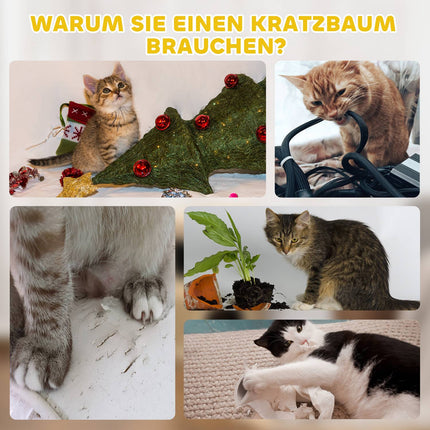 Kačių draskyklė, 49 cm, 2 lygių, pliušinis kraštas, chaki spalvos