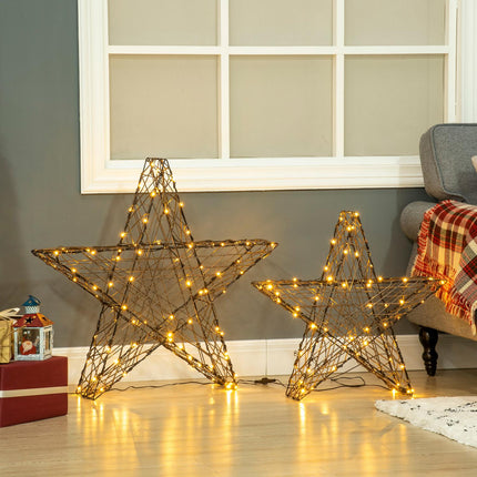 Warm white LED poinsettia Christmas lights, set of 2