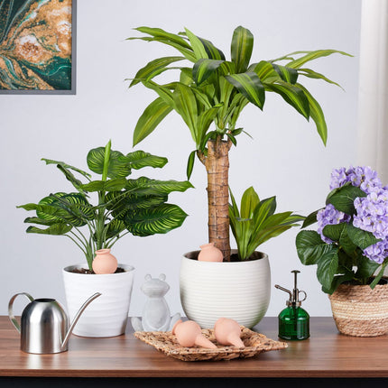 Molio laistymo kūgių rinkinys (4 vnt.) - automatinis augalų laistymas