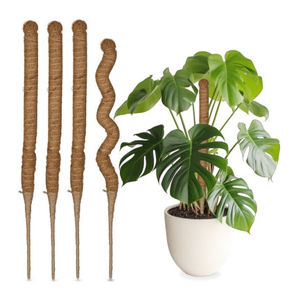 Kokoso lazdelės 60 cm