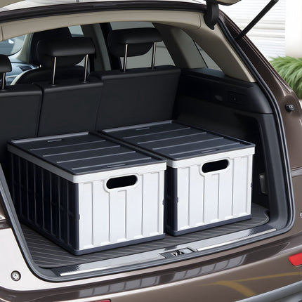 Collapsible Storage Bins With Lids, 65L 2-Pack, Stackable