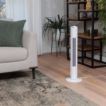 Column fan with timer