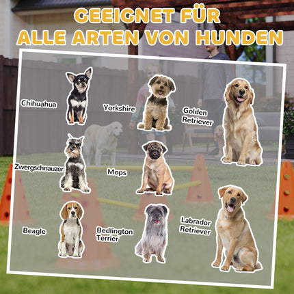 Šunų vikrumo rinkinys - 3 dalių dresūros rinkinys su 6 kūgiais, krepšys
