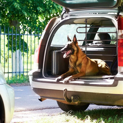 Šunų apsaugos automobilis