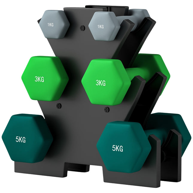 Hantelių rinkinys 6 hanteliai su hantelių stovu, 2 x 1 kg, 2 x 3 kg, 2 x 5 kg metalinių hantelių rinkinys fitnesui, gimnastikai, namams