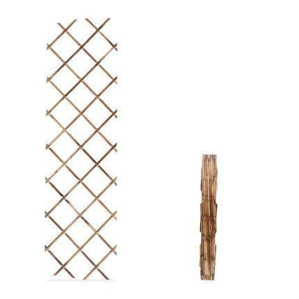 Ištraukiamų sieninių augalų grotelių rinkinys, 3 vnt., 180x60 cm