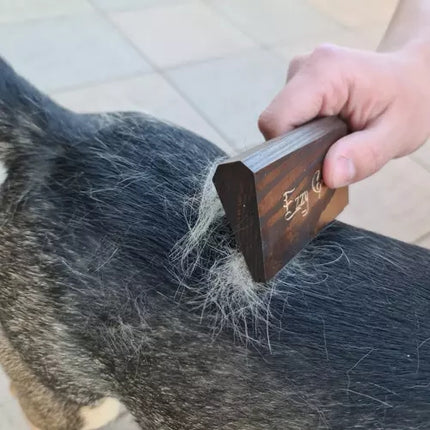 Ezzy Groom šiurkštus plaukų šepetys