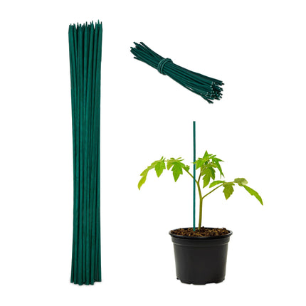 Gėlių lazdelės 30 cm, 50 vnt. rinkinyje