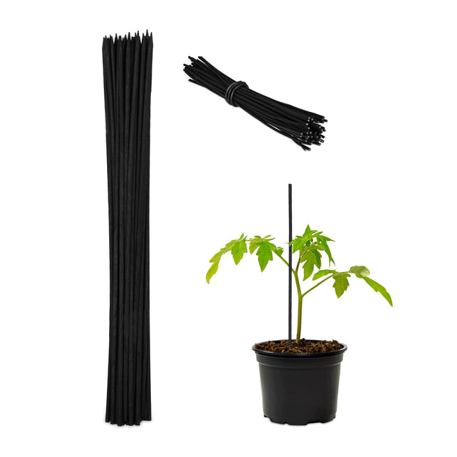 Gėlių lazdelės 30 cm, rinkiniuose po 50 vnt.