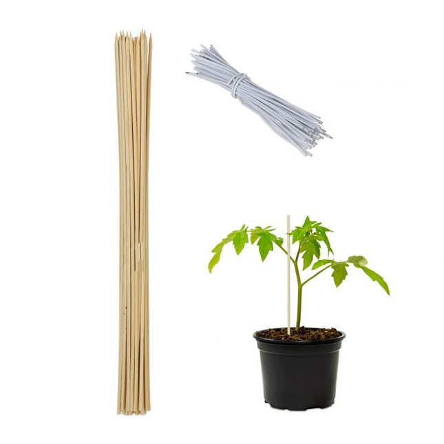 Gėlių lazdelės 60 cm, rinkiniuose po 50 vnt.