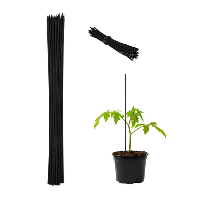 Gėlių lazdelės 60 cm, rinkiniuose po 50 vnt.