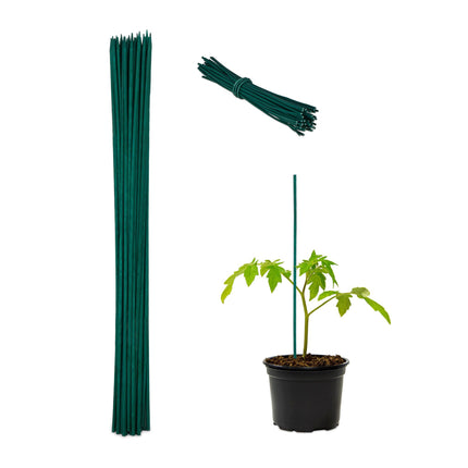 Gėlių lazdelės 60 cm, rinkiniuose po 50 vnt.