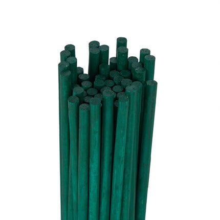 Gėlių lazdelės 60 cm, rinkiniuose po 50 vnt.