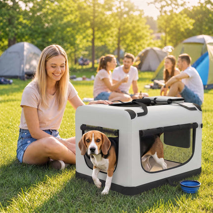 Foldable Soft-Sided Pet Carrier for Dogs Up To 15 kg, Cushion, Bowl, Light Grey