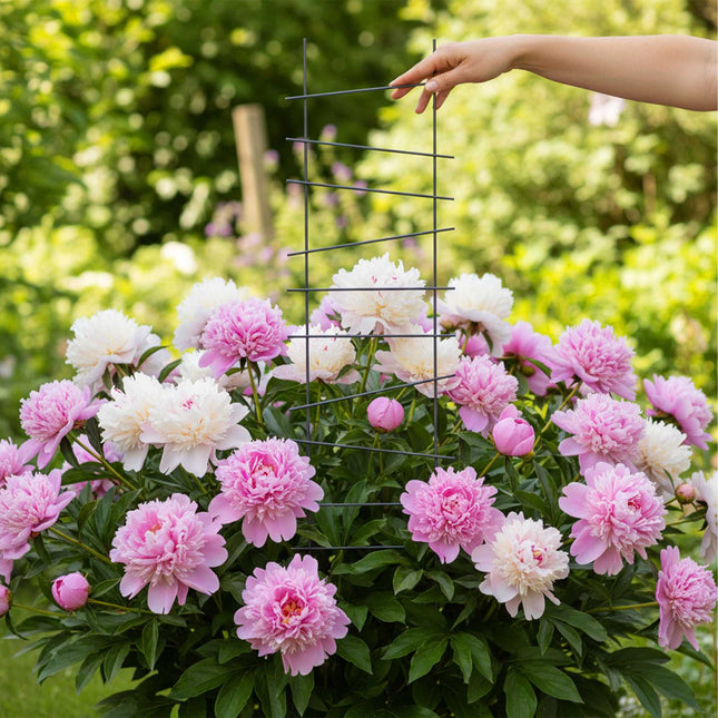 Sodo grotelių rinkinys, 8 metalinės atramos vijokliniams augalams