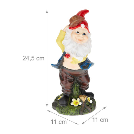 Garden gnome with ladybug