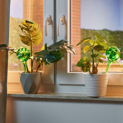 Stiklinių vandens kamuoliukų rinkinys (4 vnt.)