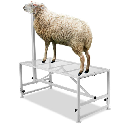 Goat and Sheep Stand 51x23 in, 21–33 in Adjustable