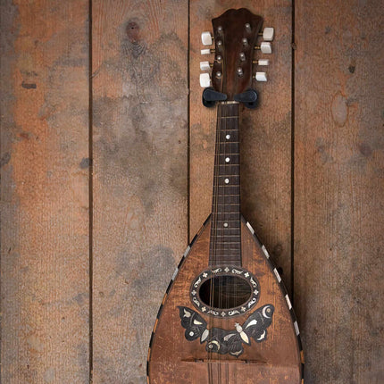 Gitaros laikiklis ant sienos